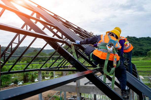 Best Roof Gutter Cleaning  in Lexington, OH